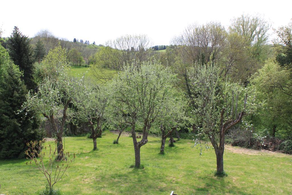 A L'Aube Des Volcans Charbonnières-les-Vieilles Exterior foto